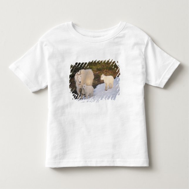 Camiseta Infantil cabras montanhosas (Frente)