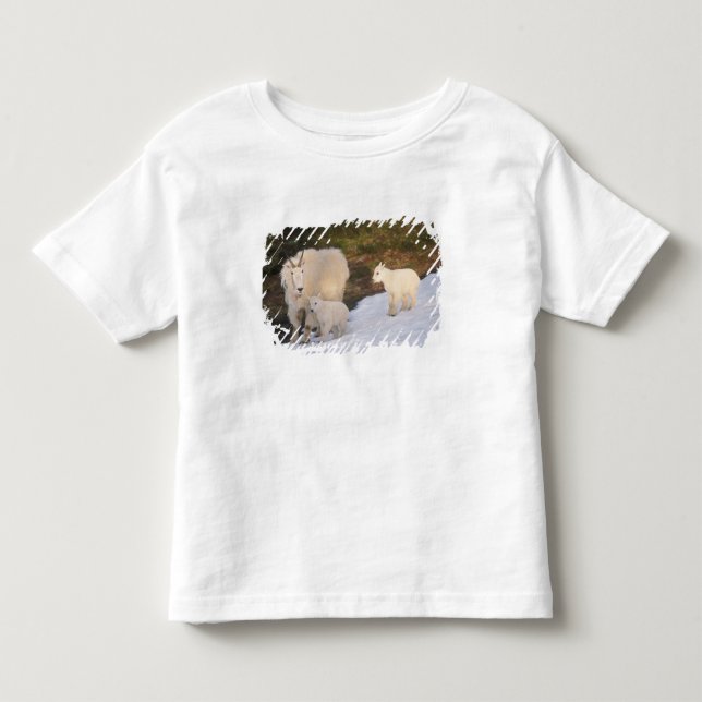 Camiseta Infantil cabras montesas (Frente)