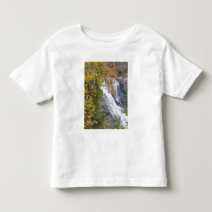 Camiseta Infantil Cachoeira Bald River