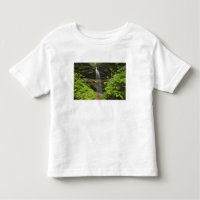 Cachoeira caindo na pia, Whiteoak Sink,