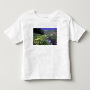 Camiseta Infantil Cachoeira e flores silvestres em prado alpino, 2