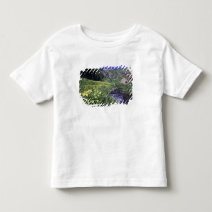 Camiseta Infantil Cachoeira e flores silvestres em prado alpino, 2