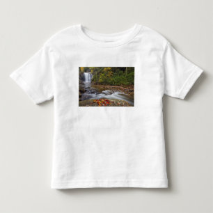 Camiseta Infantil Cachoeira Looking Glass no Parque Nacional Pisgah