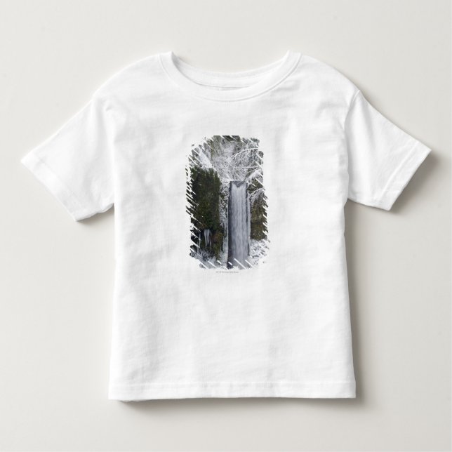 Camiseta Infantil Cachoeira obscura cercada por uma floresta nevado (Frente)