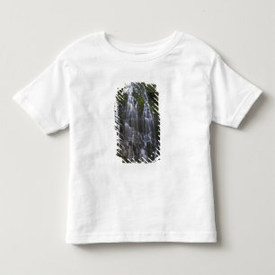 Camiseta Infantil Cachoeira Ramona Falls no condado de Clackamas, Or