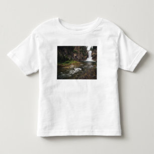 Camiseta Infantil Cachoeira Running Eagle também conhecida como Tric