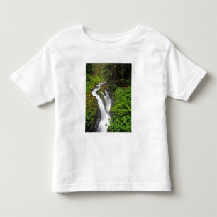 Camiseta Infantil Cachoeira Sol Duc no Parque Nacional Olímpico em