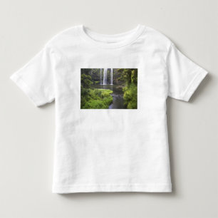 Camiseta Infantil Cachoeiras de Whangarei, Whangarei, Northland, Nov