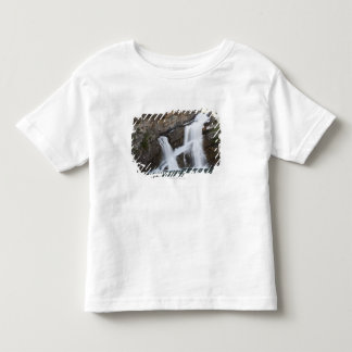 Camiseta Infantil Cachoeiras que saem de um penhasco da rocha