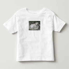 Camiseta Infantil Cachorro Descansando Em Uma Rocha