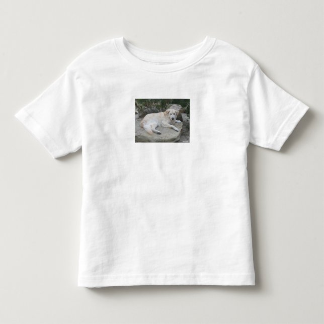 Camiseta Infantil Cachorro Descansando Em Uma Rocha (Frente)