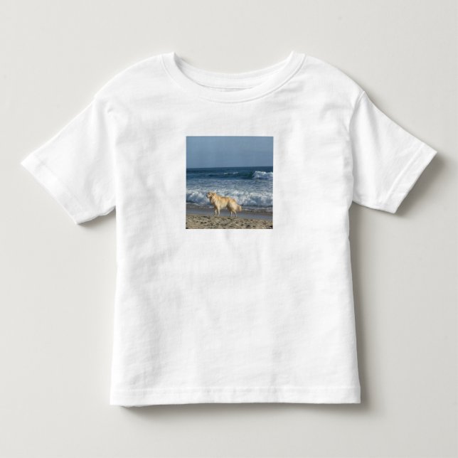 Camiseta Infantil Cachorro Na Praia (Frente)