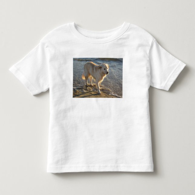 Camiseta Infantil Cachorro Na Praia (Frente)