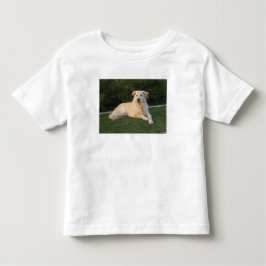 Camiseta Infantil Cachorro Relaxando