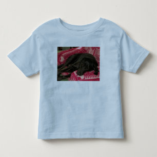 Camiseta Infantil Cachorro Sonolento, Crianças Ringer T-Shirt