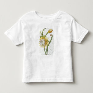 Camiseta Infantil Cacto: Círio, Plantae Selectae" 175 de Trew do "