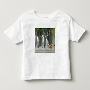 Camiseta Infantil Cães Roucos bonitos em uma pista da natureza