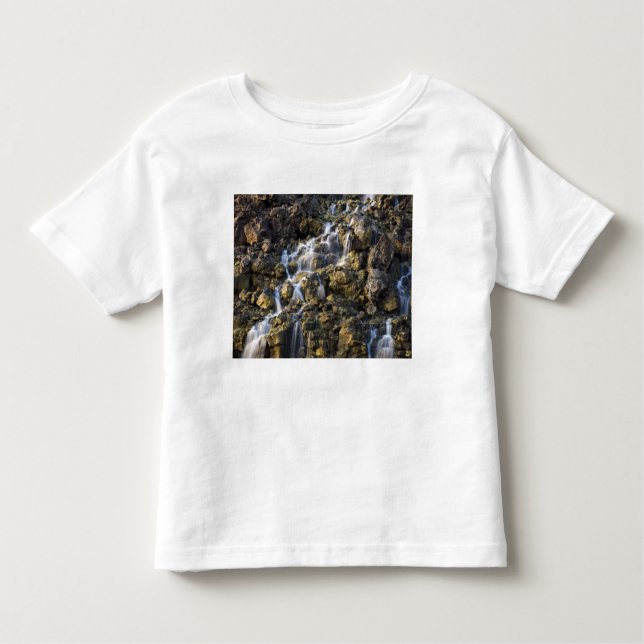 Camiseta Infantil Cai do salmão de rocha vulcânica 2 (Frente)