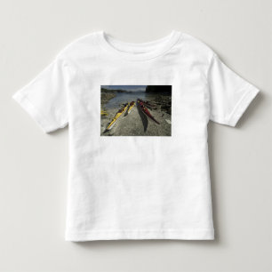 Camiseta Infantil Caiaques na Ilha Dicebox, Grupo Broken Island,