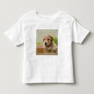 Camiseta Infantil Caixa de Ouro do Retriever