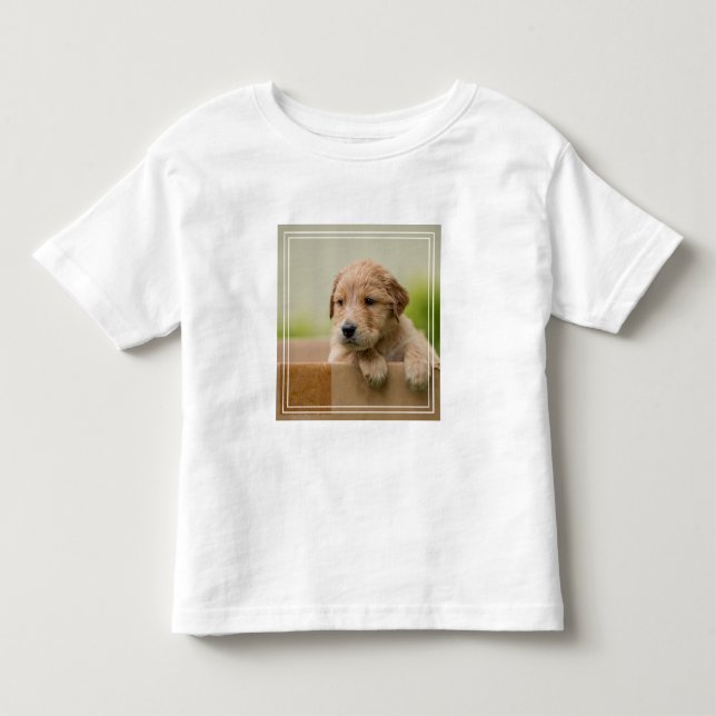 Camiseta Infantil Caixa de Ouro do Retriever (Frente)