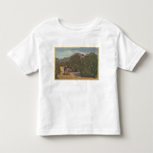 Camiseta Infantil Califórnia do sul - laranjas da colheita (Frente)