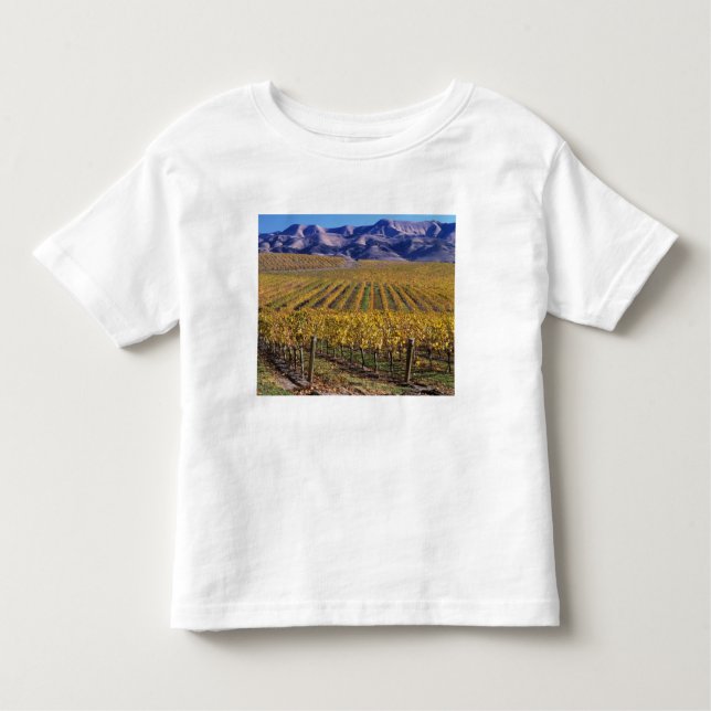 Camiseta Infantil Califórnia, San Luis Obispo County, Edna Valley (Frente)