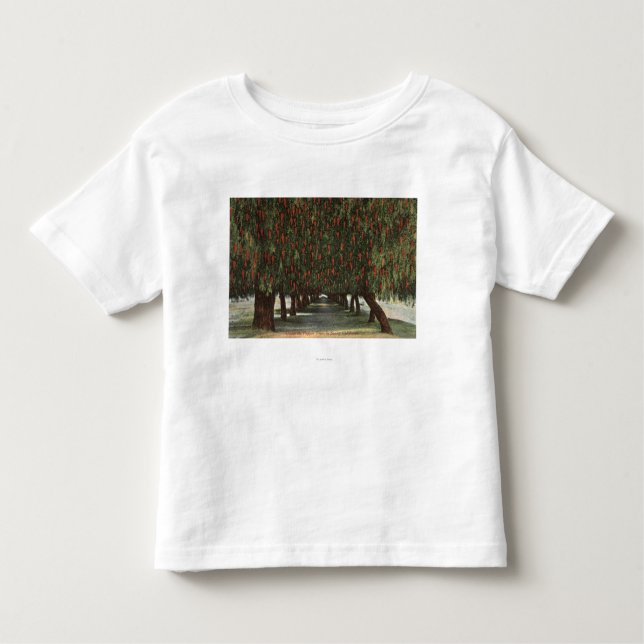 Camiseta Infantil CaliforniaGroves de árvores de pimenta (Frente)