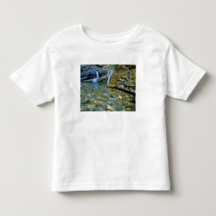 Camiseta Infantil Cameron cai em Waterton Lakes National Park em