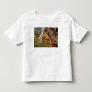 Camiseta Infantil Caminhando na Trilha Emerald Pools em Zion Nationa