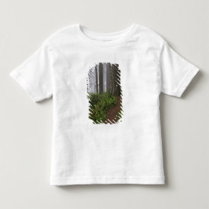 Camiseta Infantil Caminho através das árvores sequóias gigantes envo