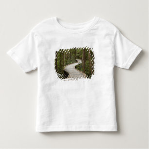 Camiseta Infantil Caminho de barco para Nelson Falls, Franklin - Gor