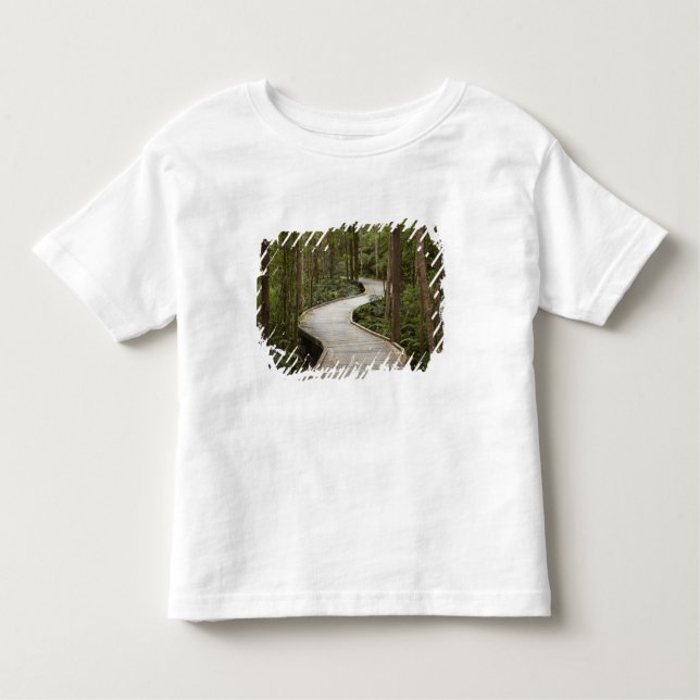 Camiseta Infantil Caminho de barco para Nelson Falls, Franklin - Gor (Frente)