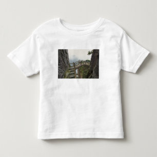 Camiseta Infantil Caminho e pequena ponte, Montanha Amarela, 2