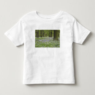 Camiseta Infantil Campainhas azuis e Carvalhos na Primavera, Little
