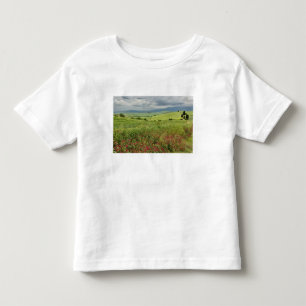 Camiseta Infantil Campo agrícola, região da Toscana, Itália.