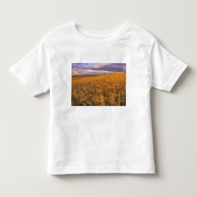 Camiseta Infantil Campo de Cevada de Curva ao longo da Rocha (Frente)