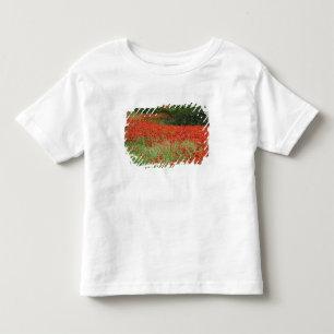Camiseta Infantil Campo de flores de papoula híbrida plantadas ao lo