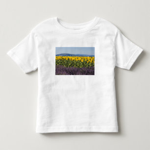 Camiseta Infantil Campo de girassóis e flores de lavanda,
