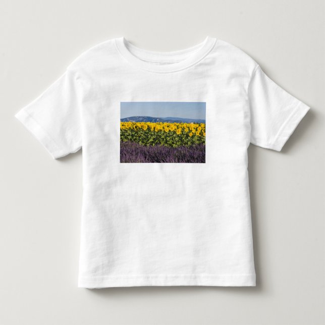 Camiseta Infantil Campo de girassóis e flores de lavanda, (Frente)