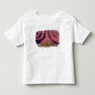 Camiseta Infantil Campo de lavanda na Alta Provença, França 2