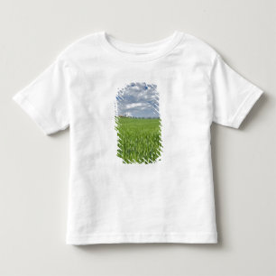 Camiseta Infantil Campo de trigo e estrada ladeada por ciprestes maj