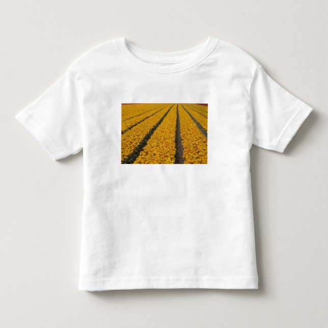 Camiseta Infantil Campo de tulipas, Holanda (Frente)