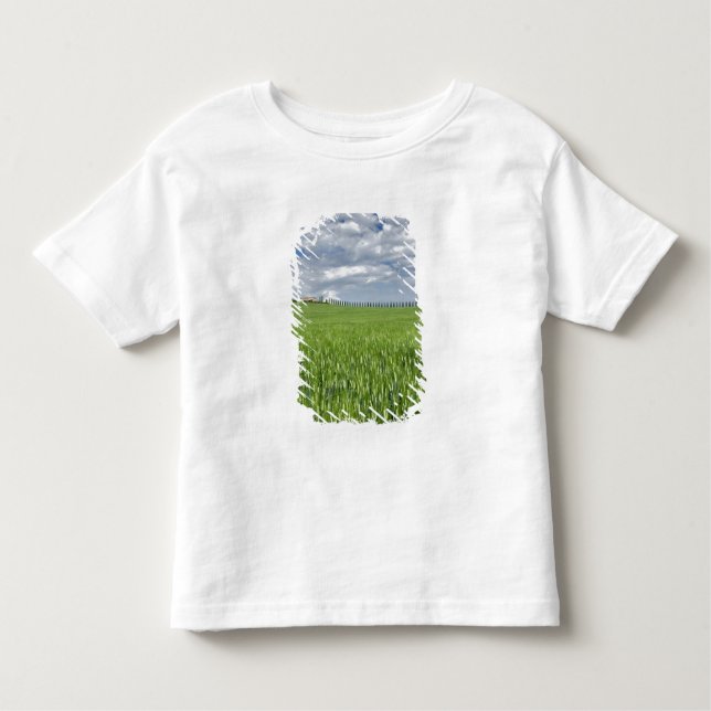 Camiseta Infantil Campos de trigo e tração revestidos de uma ciprest (Frente)