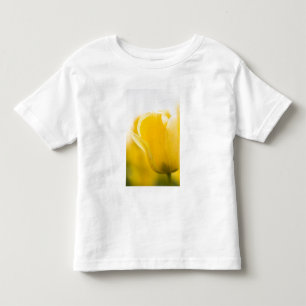 Camiseta Infantil Campos de tulipas de Mt. Vernon, Condado de Skagit