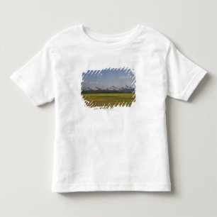 Camiseta Infantil Campos e Rolling Hills verdes com montanhas