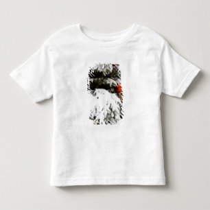 Camiseta Infantil Canadá, Alberta, Jasper, Jasper NP. Fairmont 2