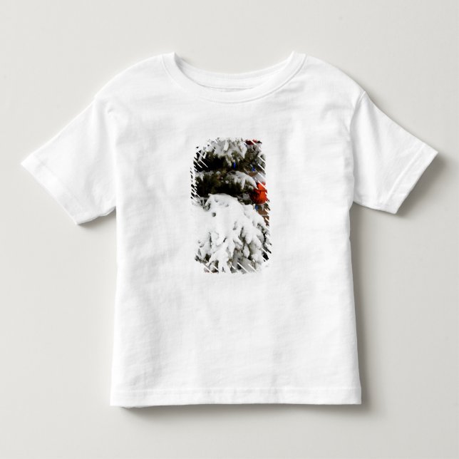 Camiseta Infantil Canadá, Alberta, Jasper, Jasper NP. Fairmont 2 (Frente)