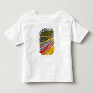 Camiseta Infantil Canadá, Alberta, Parque Nacional Banff, Morena