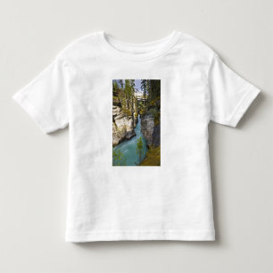 Camiseta Infantil Canadá, Alberta, Parque Nacional Jasper, Athabasca